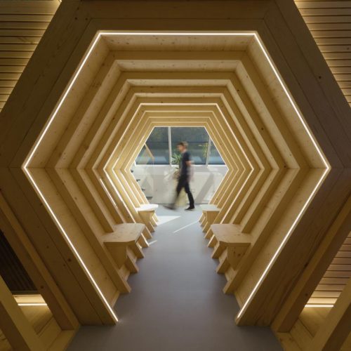 referenca-TSE-Hisa-kranjske-cebele multimedia 3d
