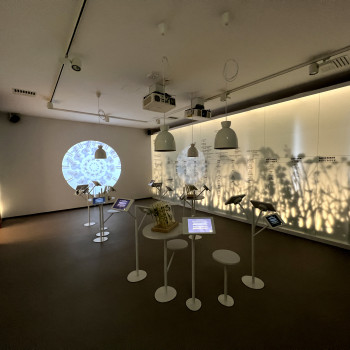 referenca-TSE-Hisa-kranjske-cebele multimedia 3d
